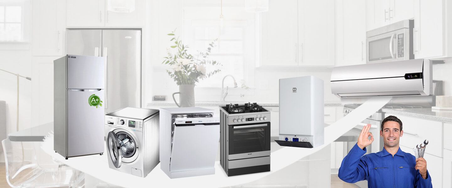 Başkale Electrolux Servisi